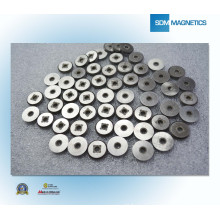 Exellent Industrial Ring Magnet